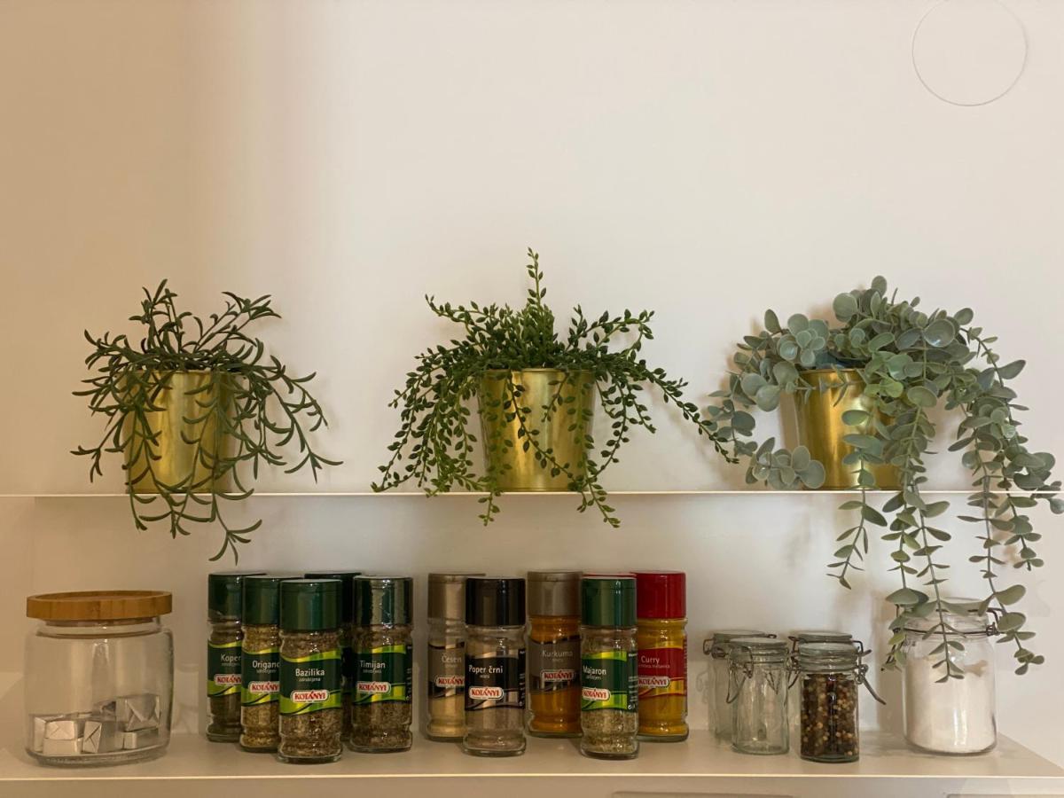 Green Corner Of Bovec - Apartment Bovec Esterno foto
